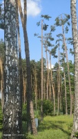 IMG_20240608_152456