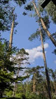 IMG_20240608_152530