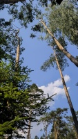 IMG_20240608_152546